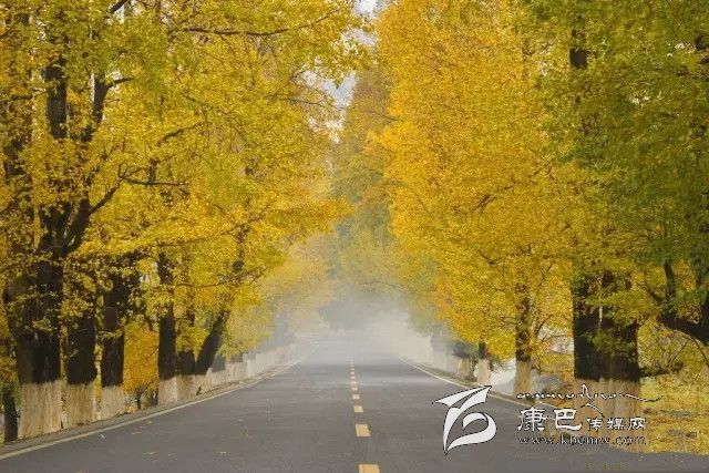 康定新都橋，有一條黃金大道通往夢中的天堂