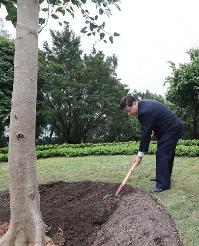 2012年12月7日至11日，習近平在廣東省考察工作。這是8日上午，習近平在深圳蓮花山公園種下一棵高山榕樹。新華社記者 蘭紅光 攝