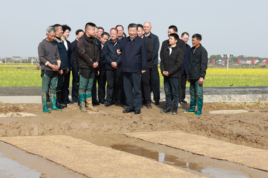 2024年3月18日至21日，中共中央總書記、國家主席、中央軍委主席習(xí)近平在湖南考察。這是19日下午，習(xí)近平在常德市鼎城區(qū)謝家鋪鎮(zhèn)港中坪村走進(jìn)田間，察看秧苗培育和春耕備耕進(jìn)展。新華社記者 王曄 攝